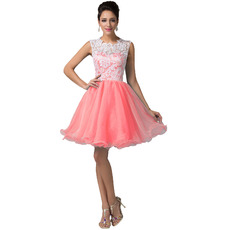 Discount Short Lace Organza Ball Gown Homecoming/ Birthday Party Dresses
