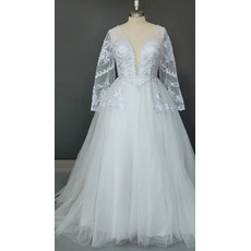 Plunging V-neckline Tulle Boho Plus Size Wedding Dresses with Long Sleeves