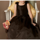 Discount Ball Gown V-back Full Length Organza Little Girls for Party/ Holiday Dresses with Bow