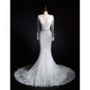 Dreamy Crystal Beading Sheath V-Neck Lace Wedding Dresses with Long Tulle Sleeves
