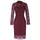 Elegant Vintage Mandarin Collar Knee Length Lace Mother of The Bride Dresses with Long Sleeves
