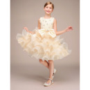 Pretty Beautiful Short Tiered Ruffle Skirt Lace Organza Flower Girl / Little Girl Party Dresses with Crystal Detailing